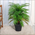 Artificial areca palm plant with realistic green leave