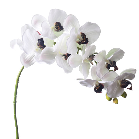 Artificial Orchid Flowers