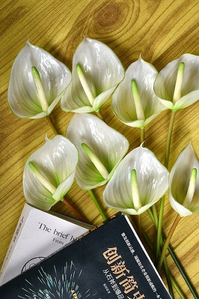 Artificial Anthurium Flowers