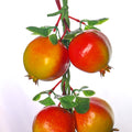 Artificial hanging fruits for garden and patio decor