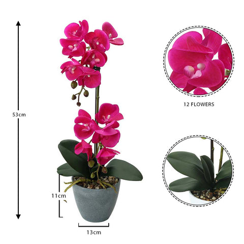 Fake Potted Orchid Flower With 2 Stem