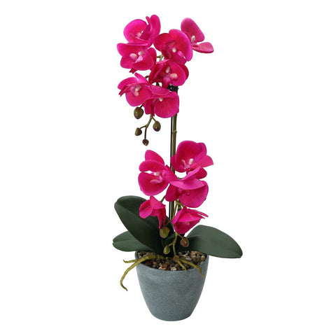 Fake Potted Orchid Flower With 2 Stem