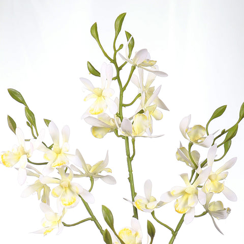 2PCS Artificial Silk Orchid Flowers