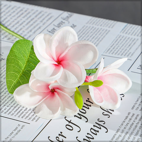 Nearly Natura Plumeria flower