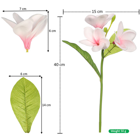 Nearly Natura Plumeria flower