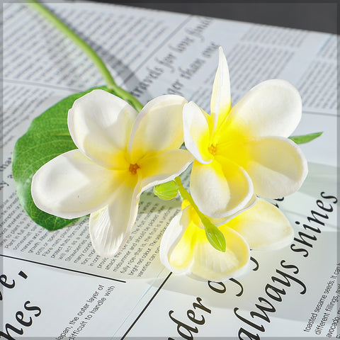 Nearly Natura Plumeria flower