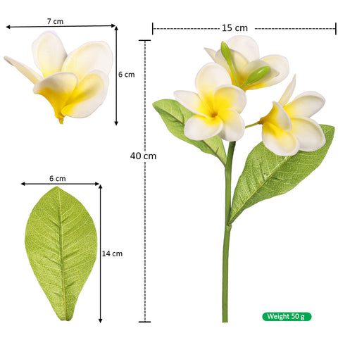 Nearly Natura Plumeria flower