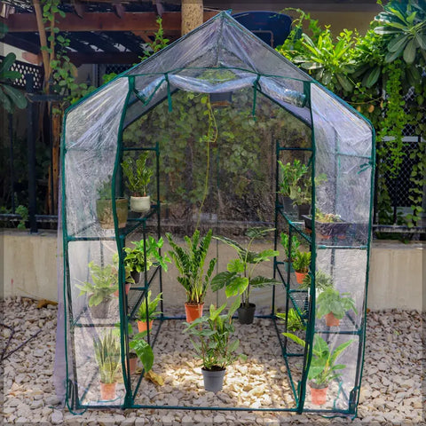 Greenhouse with 8 sturdy shelves for plant organization