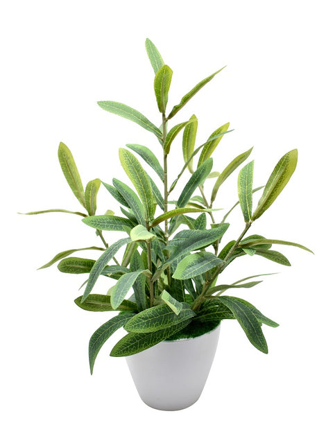 Artificial Olive Potted Plants F-Green