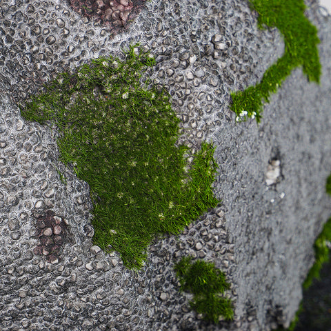 Green Moss and Stone