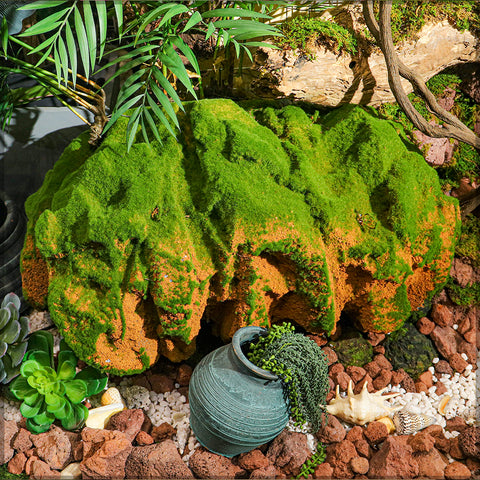 Green Moss and Stone