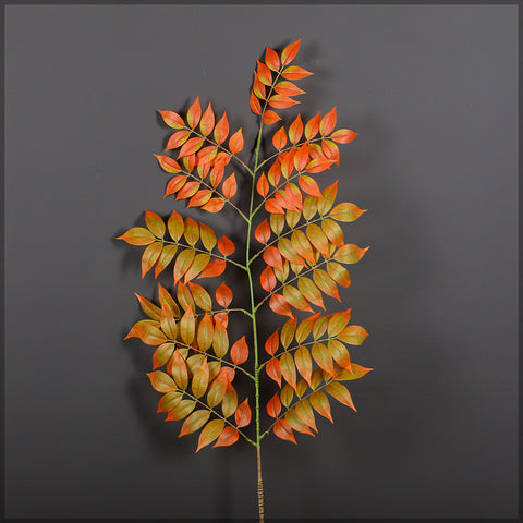 Fake kentucky coffeetree leaves