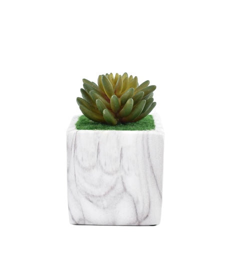 Artificial Succulent Plant With Ceramic Vase