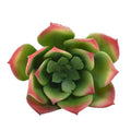 Fake aeonium lily pad for home decoration