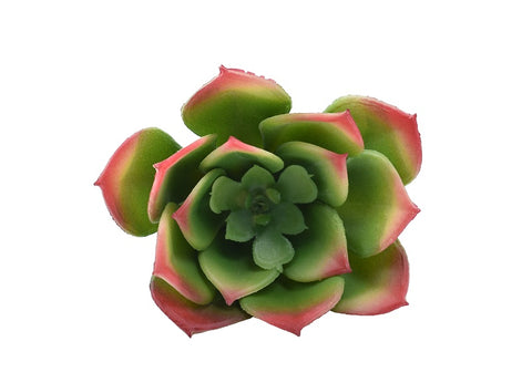 Fake aeonium lily pad for home decoration