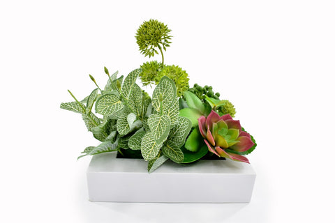 Artificial Succulent Arrangement For Table