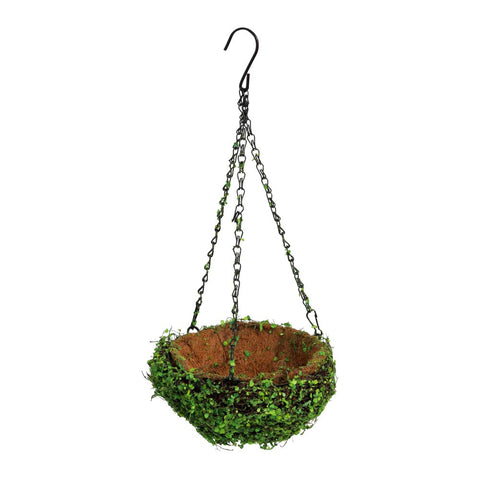 Hanging coir planter basket with iron chain