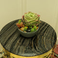 Red and green succulent plant with lifelike design