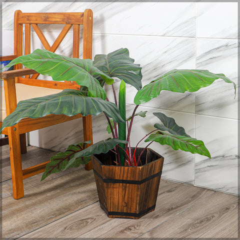 Wooden hexagon planter for plants