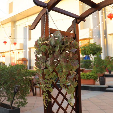 Fake Leaf Geranium Hanging Bush Plant