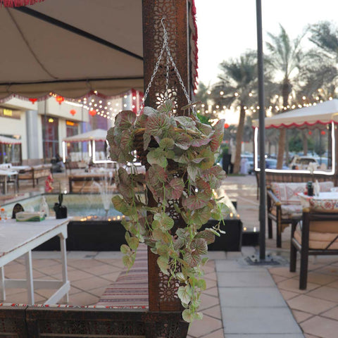 Fake Leaf Geranium Hanging Bush Plant