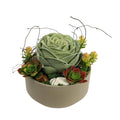 Faux rose succulent plant green