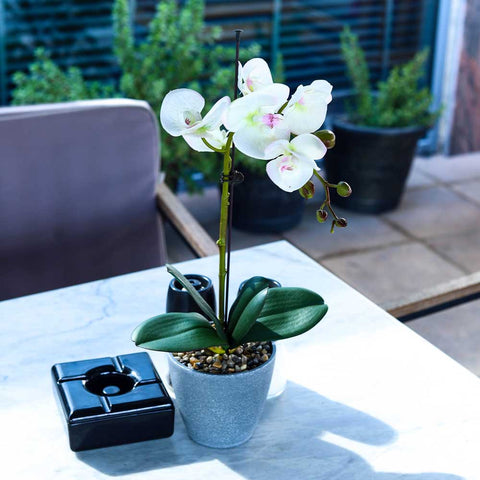 Artificial Potted Phalaenopsis Flower