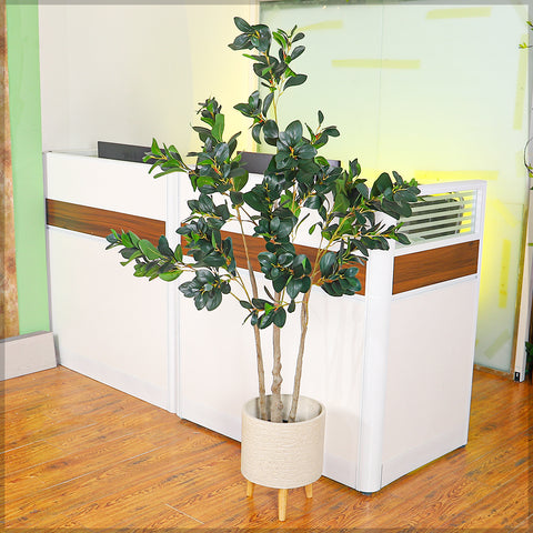 Artificial Rubber Plant