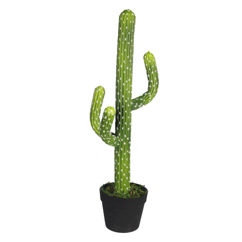 Artificial desert cactus for stylish decor