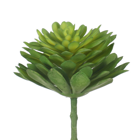 Realistic Succulent Plant Flower Head for home decor