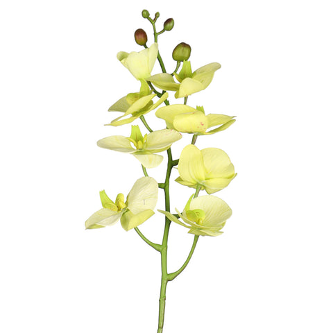 Nearly Natural Orchid Flower Stems