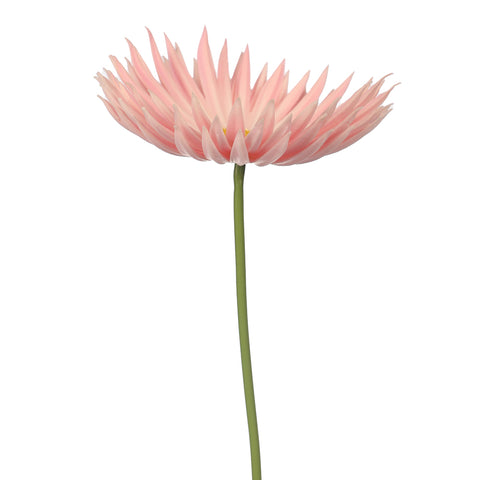 Single Stem Artificial Daisy Flower