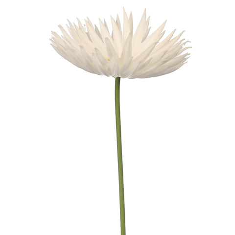 Single Stem Artificial Daisy Flower