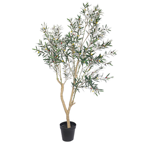 240cm Tall Artificial Olive Plant