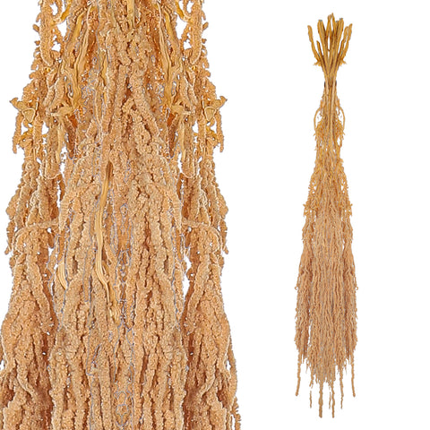 Preserved Dried Hanging Flower