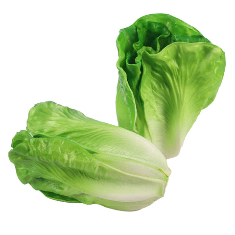 Nearly Natural Fake Lettuce Vegetable