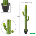 Artificial finger cactus plant for modern spaces