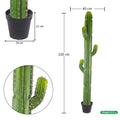 Faux finger cactus plant for contemporary home interiors