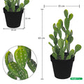 Artificial ear cactus for stylish interior design