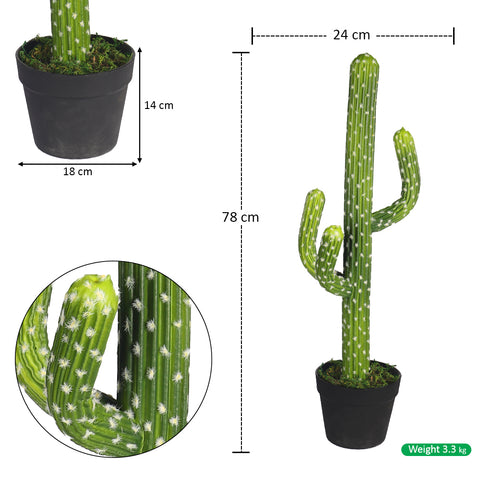 Realistic desert cactus for modern interiors