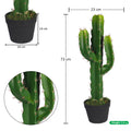 Faux finger cactus plant for home decoration