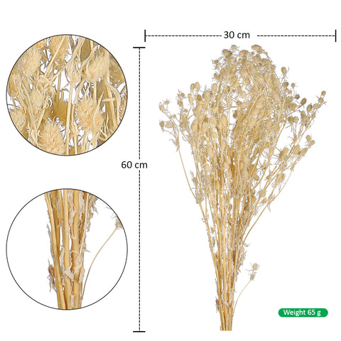 White Natural Dried Flower for Flower Arrangement