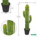 Faux finger cactus plant for modern interior spaces