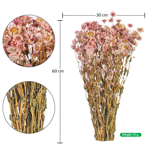 باقة زهور الأقحوان المجففة