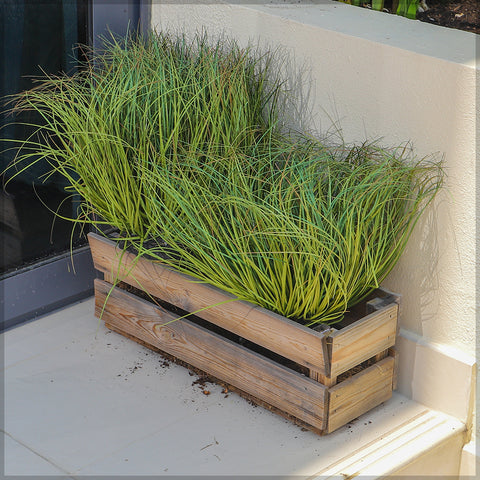 Small Size Artificial Grass Plant in Sponge