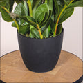 Money tree artificial in decorative pot