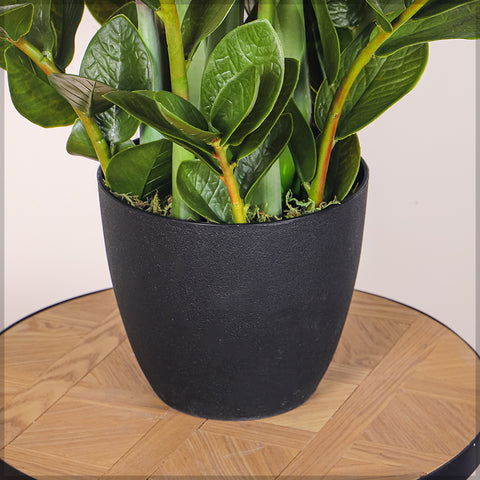 Money tree artificial in decorative pot