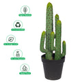 Realistic Thorn Ball Cactus for Modern Decor