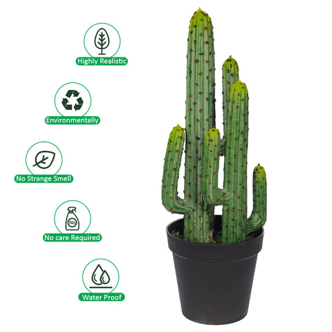 Realistic Thorn Ball Cactus for Modern Decor