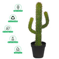 Lifelike Decorative Cactus Plant